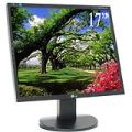 Màn hình LG LCD Monitor 17 inches TFT (1742S)