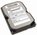 Ổ đĩa cứng HDD Samsung Spinpoint dung lượng 80GB