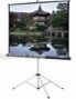 Màn hình 3 chân TRIPOD DALITE 60x60 Inches