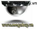 Camera bán cầu AVC542