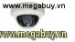 Camera bán cầu AVC543