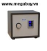 Két sắt bằng vân tay, AD-38
