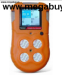 Máy dò ga M&MPRO MMBX616