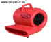 Máy thổi thảm, sàn BF-533