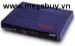Model mạng cáp quang VIgor 2104