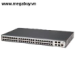 Baseline Switch 2948-SFP Plus 3CBLSG48