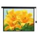 Màn hình điều khiển Môtơ điện ELECTRIC DALITE 80x60 Inches